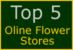 Flower stores
